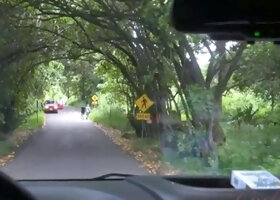 Driving Around Sucking Cock
